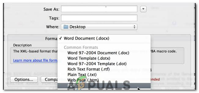 convert pages to word