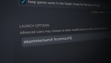 Steam Game Launch Options Settings