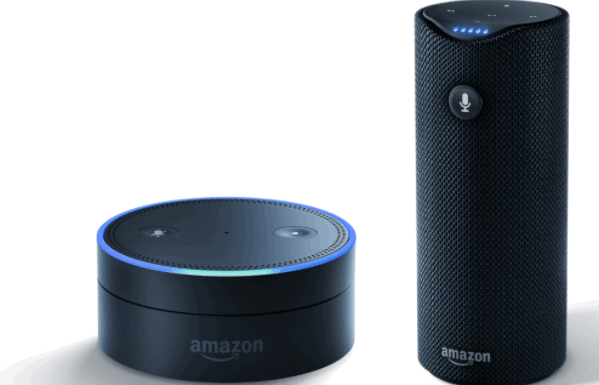 How to fix Alexa's Recognition
