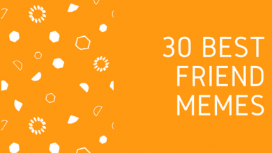 30 Best Friend Memes