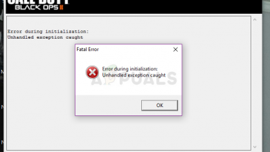 Black Ops 2 - Unhandled exception caught