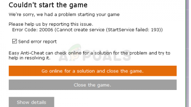 Fortnite Error Code 20006