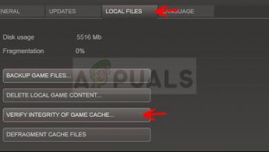 Verify integrity of game files - Steam