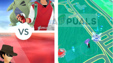 Error 29 in Pokemon Go while battling in a gym