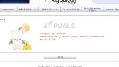 Error code i2501 in Square Enix when making a payment