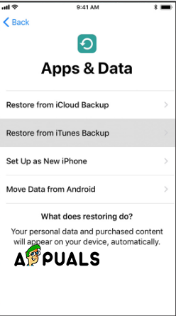 Restore from iTunes Backup
