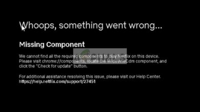 Netflix Error M7703-1003 in Google Chrome