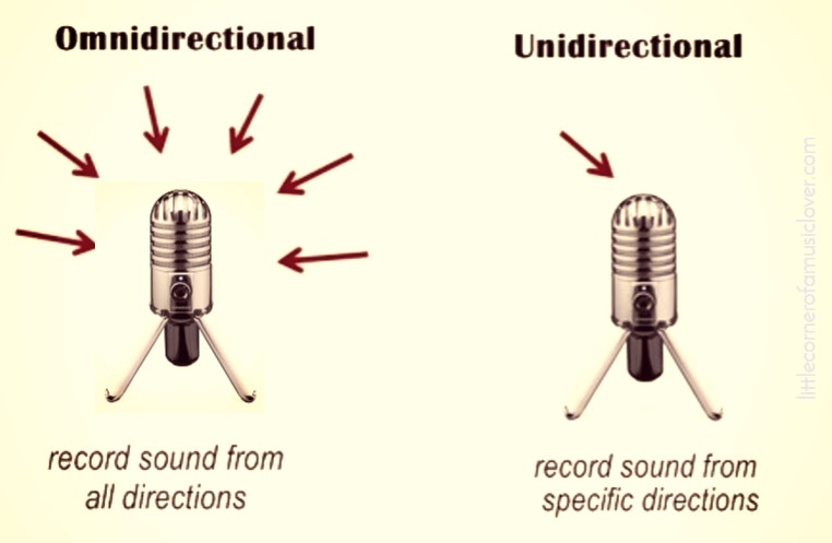 Unidirectional Vs Omnidirectional