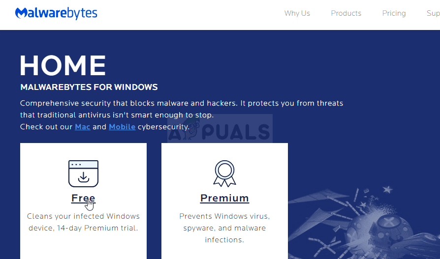 Downloading the free trial of Malwarebytes