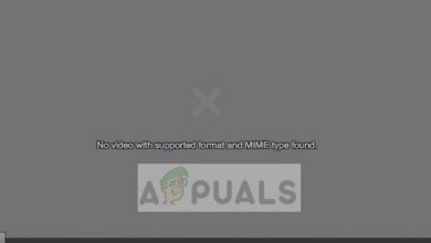 No video with supported format and MIME type found - Mozilla Firefox