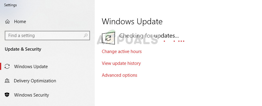 Updating Windows and Microsoft Office