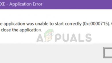 winword.exe Application Error in Microsoft Word