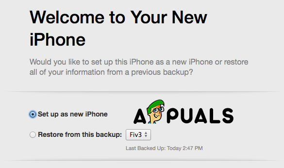 Choose From These Two Options