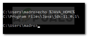 Verifying if the Java environment variable was set correctly