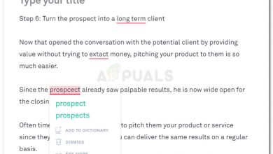 Using Grammarly to check for grammar errors
