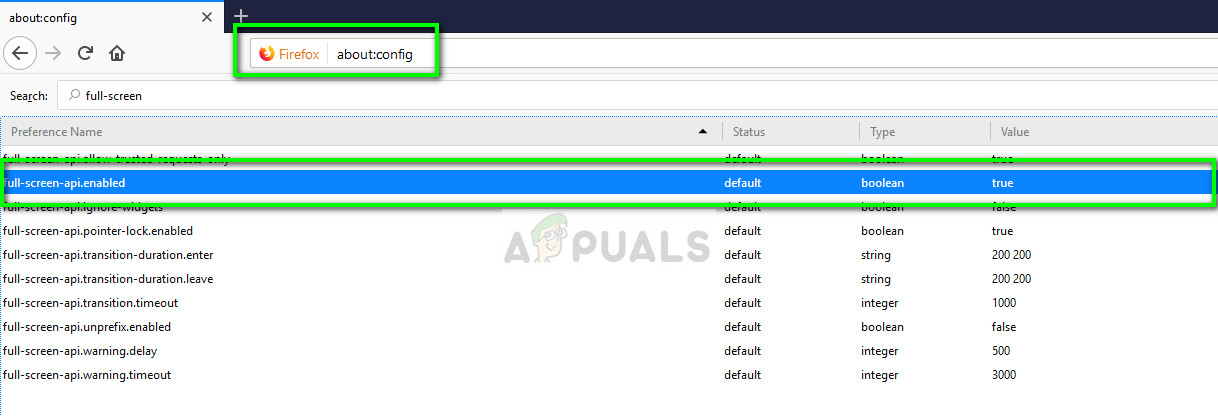 full-screen-api.enabled