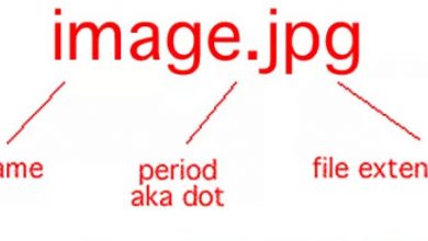 File format analogy