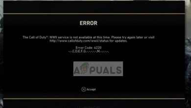 COD WW2 Error Code 4220 on PS4