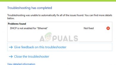 DHCP is not enabled for Ethernet