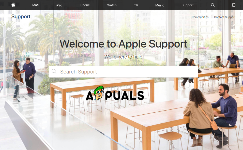 Apple Support