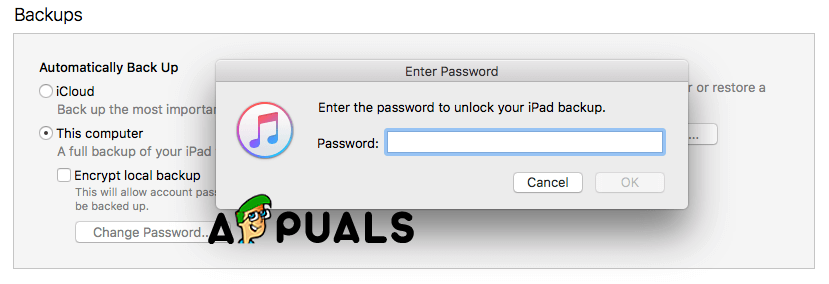 Enter the password to unlock your iPhone backup