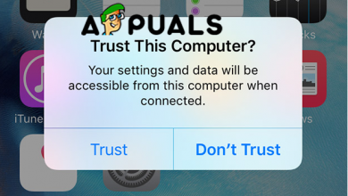 Trust this computer