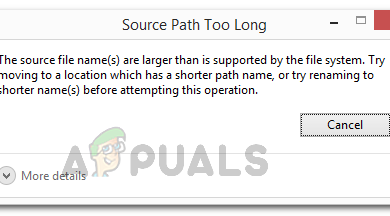 the source file names are larger than is supported by the file system