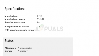 Security processor details