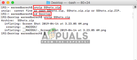 Using the cd command to change directory and then unzip in Terminal