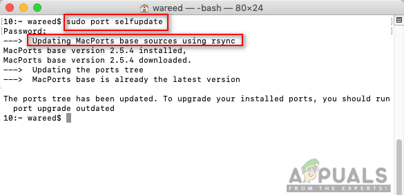 how to upgrade bash on mac