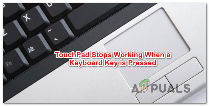 touchpad not working when typing