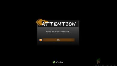 Dragon Ball FighterZ Failed to Initialize Network