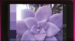 Adobe Capture Android