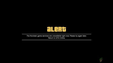 Rockstar Game Services Error