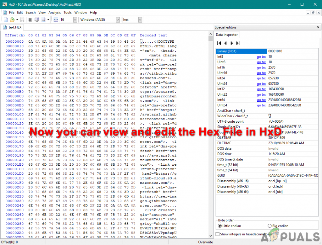 hxd hex editor export as binary