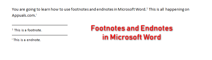 difference between footnote and endnote
