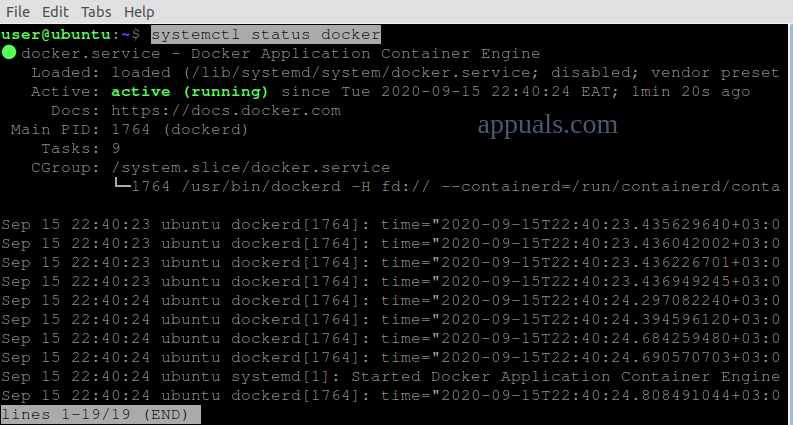 Docker service status