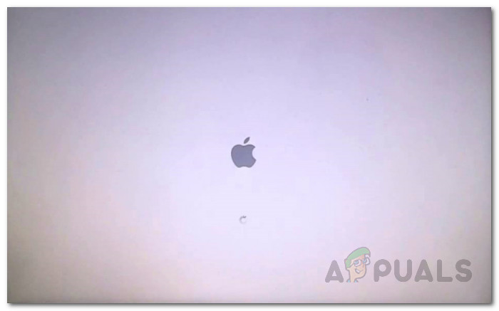 mac stuck on dark boot screen mac stuck on dark boot screen