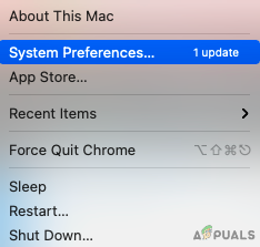select System Preferences