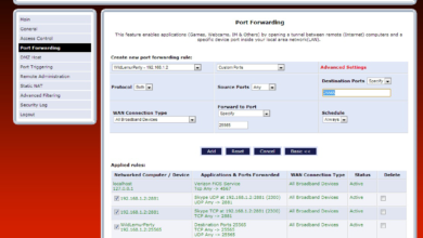 Minecraft Port Forward not working
