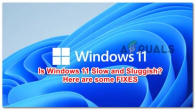 How To Fix A Slow Or Sluggish Windows 11 Computer? - Appuals.com