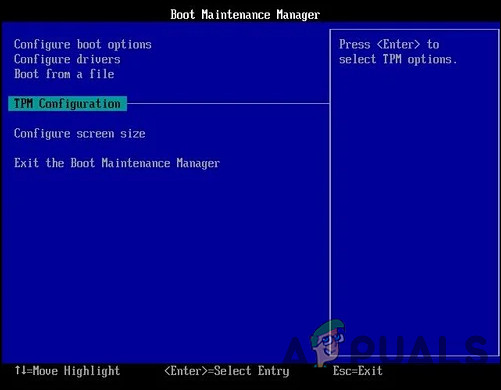 windows 11 installation