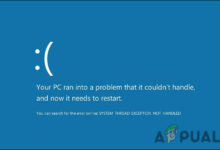 Blue Screen of Death after system reset