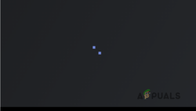 Discord stream is stuck on loading