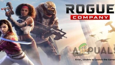 Rogue Company Won't Open