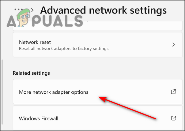 more-adapter-options
