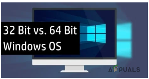 find an appropriate msmpeg2vdec.dll version