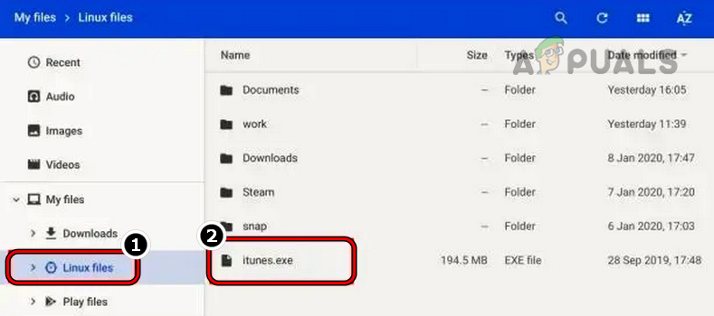 Move iTunes.exe to Linux Files
