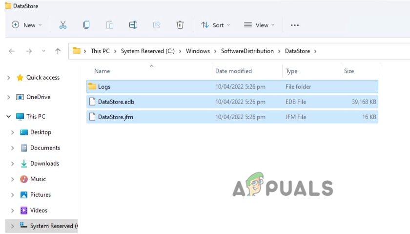 Delete the Cache Files