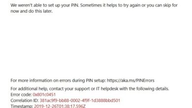 error code 0x801c0451